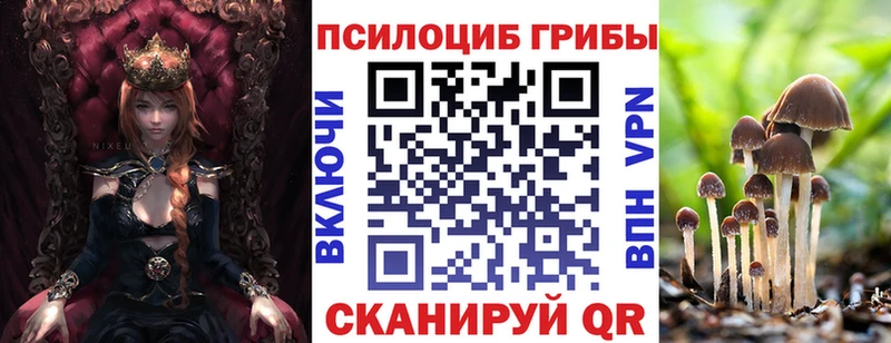 даркнет сайт  Ростов-на-Дону  Галлюциногенные грибы MAGIC MUSHROOMS 