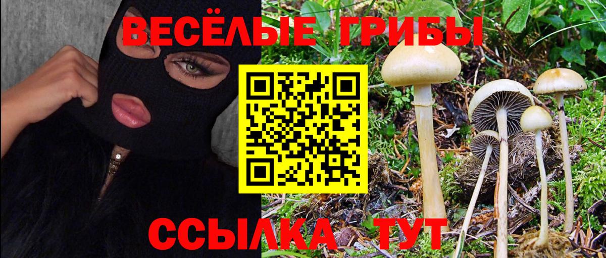 где продают наркотики  Псилоцибиновые грибы ЛСД  Вход с VPN  Ростов-на-Дону 